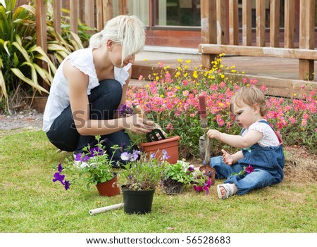 Family plant colorful flowers in a flowerpot