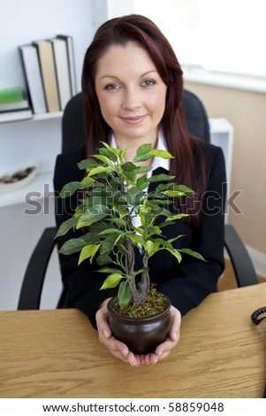Pretty young businesswoman holding a plant sitting in her office looking at the camera