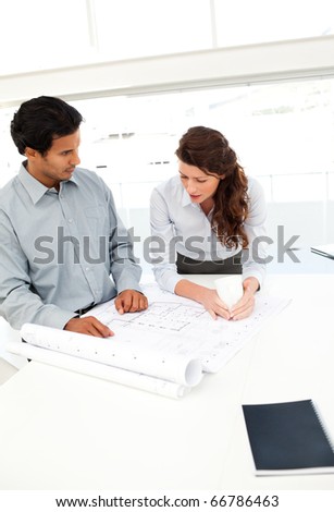 Two attractive architects looking at plans standing together at a table