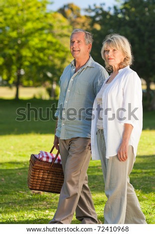 Retired couple looking for a place to picnicking