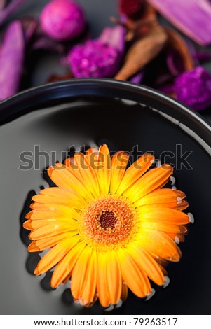 Orange flower floating in a black bowl and purple dry flowers focus with the camera on the flower