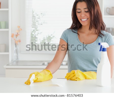 Attractive woman doing the housework in the kitchen