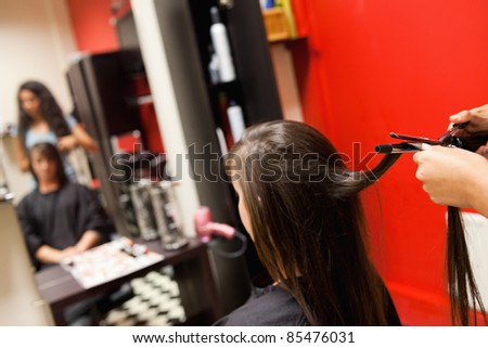 Cute woman having her hair straightened by an hairdresser