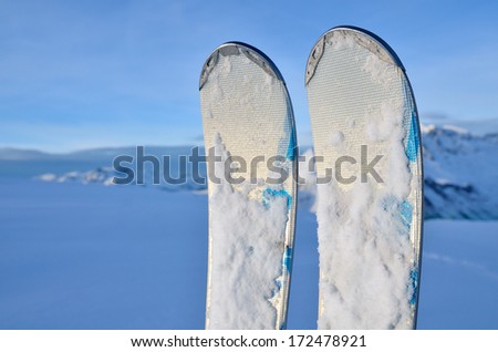Alpine skis in snow in vertical position. Winter vacations