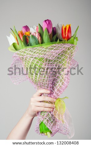 Woman holding tulip flowers on white background