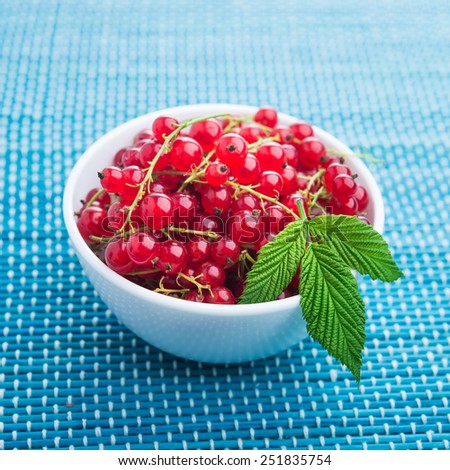 Fresh red berry currants in white plate. Source of natural vitamins.