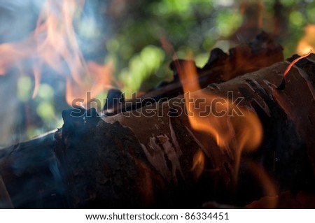 Dry sticks of wood burn in the fire background