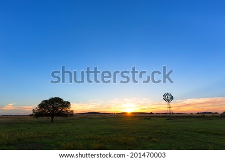 The sun, a windmill and a lone tree