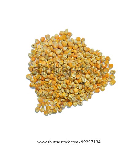Corn seeds for animal feed isolated on white background