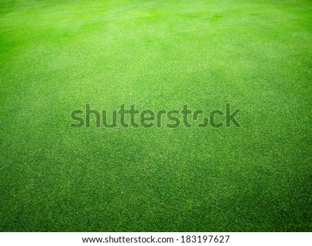 green grass green grass