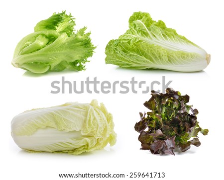 lettuce ,chinese cabbage on a white background