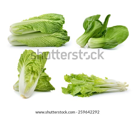 fresh chinese cabbage ,lettuce , Bok choy, on awhite background