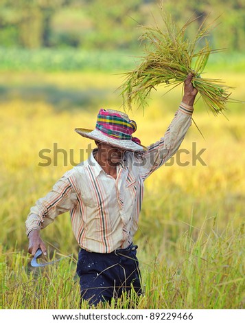 farmer in field, it\'s harvest time
