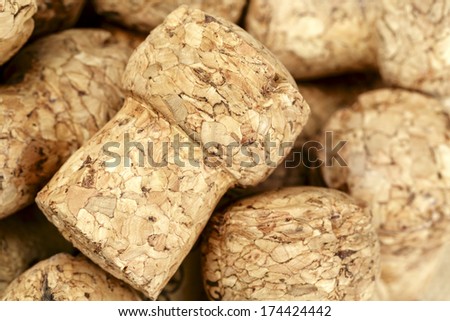 Sparkling wine bottle cork, shown close up against background to other corks