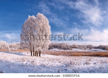 Winter landscape with frozen tree in field and blue sky with clouds