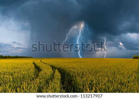 Summer landscape with big wheat field and road, thunderstorm with rain on background