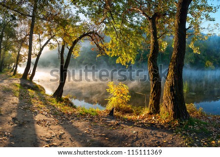 The autumn wood on the river bank, shined with the sun, fog over water, outdoors