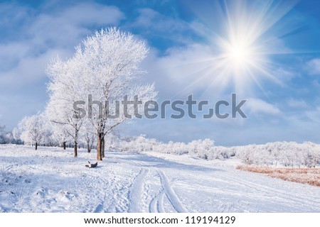 Winter landscape with frozen tree, sun, road and blue sky with clouds
