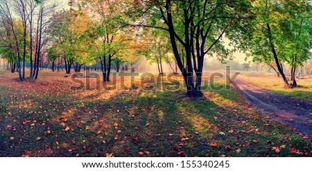 Vintage panorama of the maple wood with road, autumn landscape
