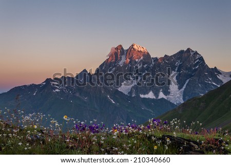 Flowery meadow and mountain Ushba at dawn