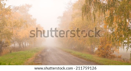 Beautiful autumn road in the fog, surrounded by yellow birch