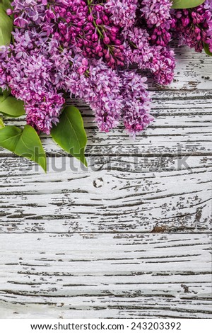 Lilac flowers in rustic style