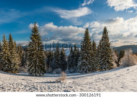 Fairy winter forest with snow-covered fir trees and a beautiful blue sky