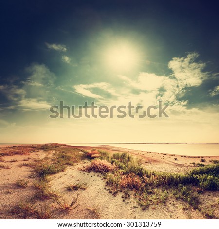 Sandy beach and sun, vintage landscape