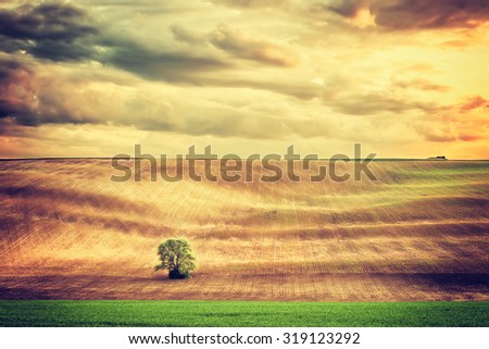 Vintage landscape with lonely tree in field and dramatic sky