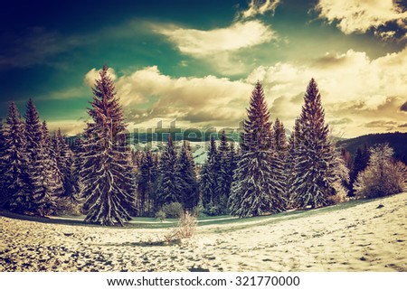 Vintage fairy winter forest with snow-covered trees and a beautiful sky