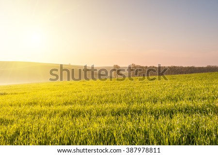 Spring landscape with agricultural fields, farming background