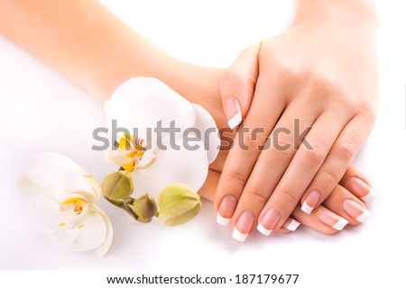 beautiful french manicure  on white