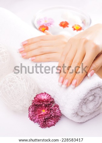 Woman hands with colorful chrysanthemum on a towel