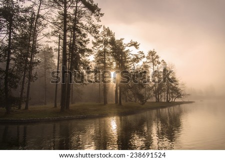 Mystical Sunrise over River in the misty Forest. Mist is over the river covering the forest and sun rays are penetrating through. Scenic and atmospheric sunrise on Sobec in Slovenia.