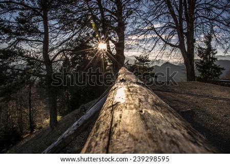 Sun penetrating the trees in the forest and basking on the wooden Fence.