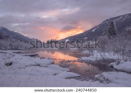 Purple Sunrise at the spring of Zelenci. River Sava starts it\'s path here.