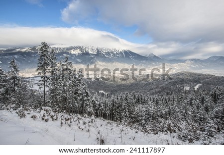 Snowy Forest on a sunny day with both clear sky and clouds. Forest and the valley with towns are covered with snow.