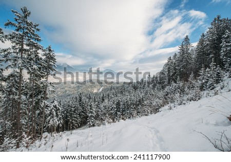 Snowy Forest on a sunny day with both clear sky and clouds. Forest and the valley with towns are covered with snow.