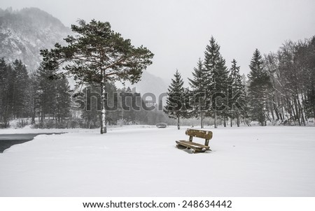 Beautiful winter scenery by the lake and the River. Heavy snow and blizzard is giving the scenery a unique appearance and look. Bench is the resting place near the tree with bridge behind.