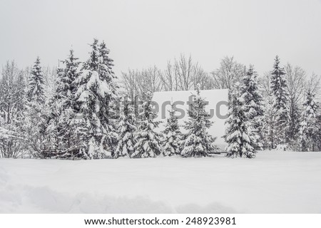 Cottage caught in the pine forest. Winter Fairytale at Bohinj Lake in Slovenia. Mystical landscape on a winter day with heavy snow. Cottages reflection in the Snow.