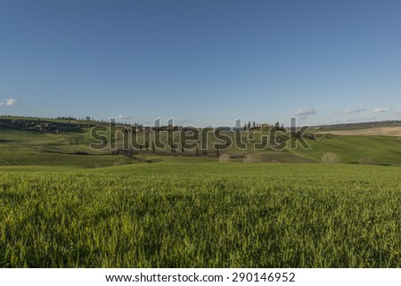 Tuscan Fields, meadows and flowers