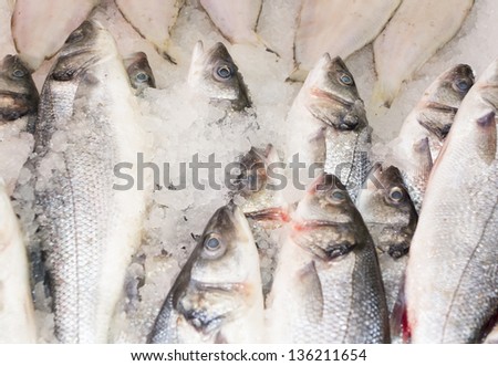 White perch fish fresh in the market
