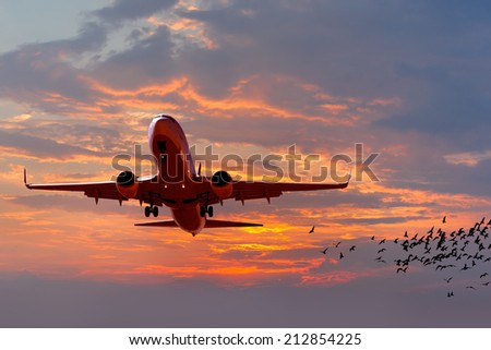 passenger plane fly down over take-off runway from airport at sunset