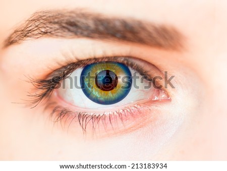 Closeup image of  yellow eye