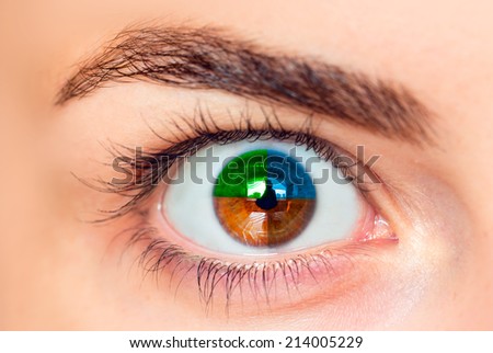 Closeup image of  four color eye