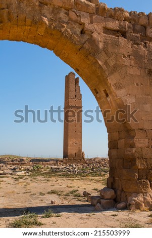 Old Ruins Of Harran University