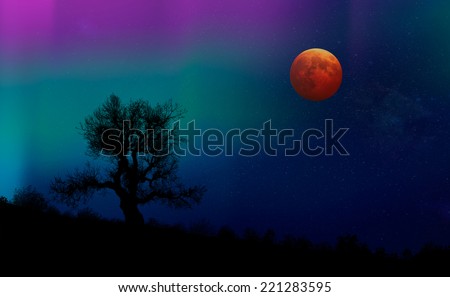 lone tree and lunar eclipse  with aurora