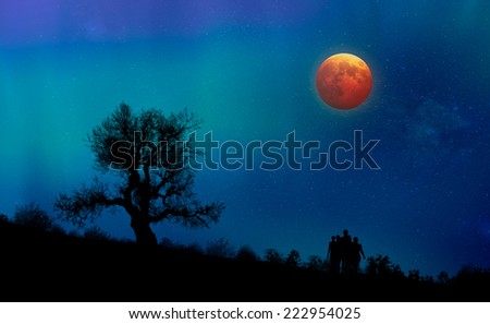 lone tree and lunar eclipse with aurora