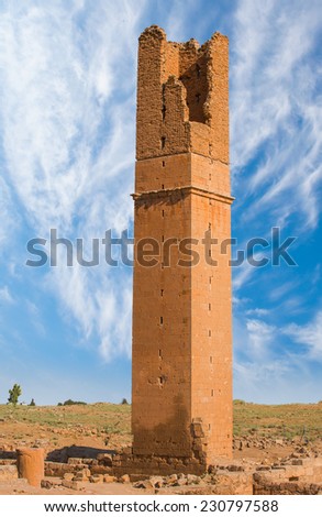 Old astronomy tower at ancient city Harran