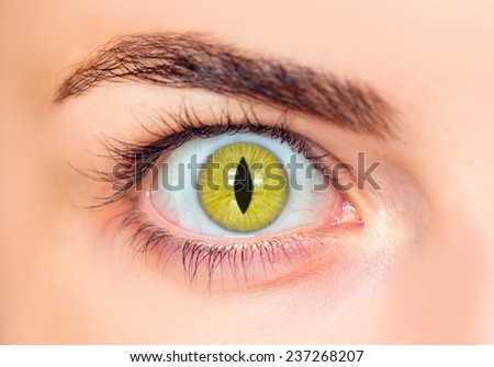 The eyes of a girl in the form of eye cat